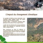 Conférence sur la forêt face au changement climatique